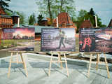 grafika