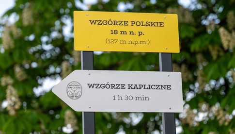 grafika
