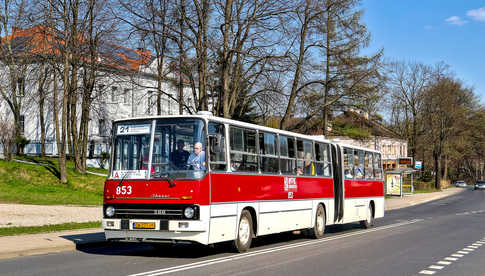grafika