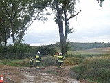 Błotne bajoro na ósemce w Braszowicach 