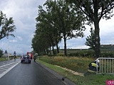 Błotne bajoro na ósemce w Braszowicach 