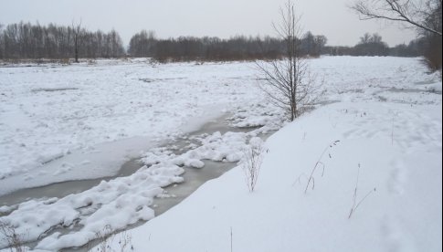 Widok na Nysę Kłodzką w rejonie miejscowości Przyłęk. Fot. Wody Polskie