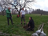 Bardo: Sadzenie drzew w Sadzie Czereśniowym