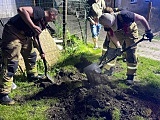 Strażacy uratowali psa, który utknął w przepuście 