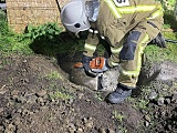 Strażacy uratowali psa, który utknął w przepuście 