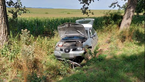 Seat wpadł do rowu przed Kamieńcem Ząbkowickim