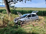 Seat wpadł do rowu przed Kamieńcem Ząbkowickim
