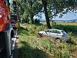 Seat wpadł do rowu przed Kamieńcem Ząbkowickim