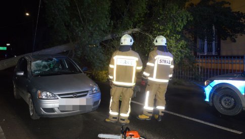 W Kamieńcu Ząbkowickim drzewo zawisło nad drogą i uszkodziło samochód