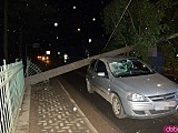 W Kamieńcu Ząbkowickim drzewo zawisło nad drogą i uszkodziło samochód