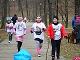 Bieg Tropem Wilczym w Kamieńcu Ząbkowickim