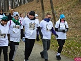 Bieg Tropem Wilczym w Kamieńcu Ząbkowickim