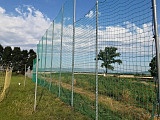 Piłkochwyty wsparciem dla drużyn sportowych