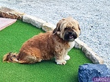 [FOTO] Otwarcie Parku Golfowego przy Hotelu Bardo 