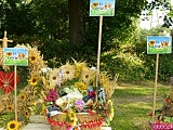 Dożynki gminy Bardo w Dzbanowie