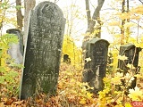 Ślady historii: Cmentarz żydowski w Ziębicach