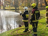 Zaopatrzenie wodne i gaszenie pożarów w lasach