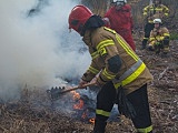 Zaopatrzenie wodne i gaszenie pożarów w lasach