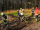 Zaopatrzenie wodne i gaszenie pożarów w lasach