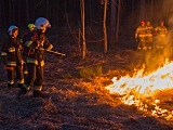 Zaopatrzenie wodne i gaszenie pożarów w lasach