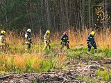 Zaopatrzenie wodne i gaszenie pożarów w lasach