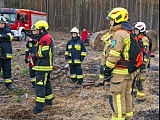 Zaopatrzenie wodne i gaszenie pożarów w lasach