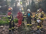 Zaopatrzenie wodne i gaszenie pożarów w lasach