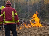 Zaopatrzenie wodne i gaszenie pożarów w lasach