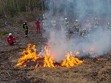 Zaopatrzenie wodne i gaszenie pożarów w lasach