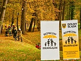 Zaopatrzenie wodne i gaszenie pożarów w lasach