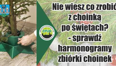 Poświąteczna zbiórka żywych choinek w gminie Ząbkowice Śląskie 