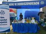 [FOTO] Święto Tulipanów w Kamieńcu Ząbkowickim po raz kolejny