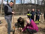 [FOTO] Tysiąc nowych dębów w bardzkich lasach