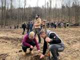[FOTO] Tysiąc nowych dębów w bardzkich lasach