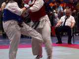 [FOTO] Za nami Mistrzostwa Makroregionu Śląskiego i Dolnośląskiego oraz Międzywojewódzkie Mistrzostwa Młodzików w Karate
