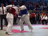 [FOTO] Za nami Mistrzostwa Makroregionu Śląskiego i Dolnośląskiego oraz Międzywojewódzkie Mistrzostwa Młodzików w Karate