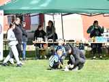[WIDEO/FOTO] Pobiegli w 14. Półmaratonie Henrykowskim i 10. Dyszce Księgi Henrykowskiej